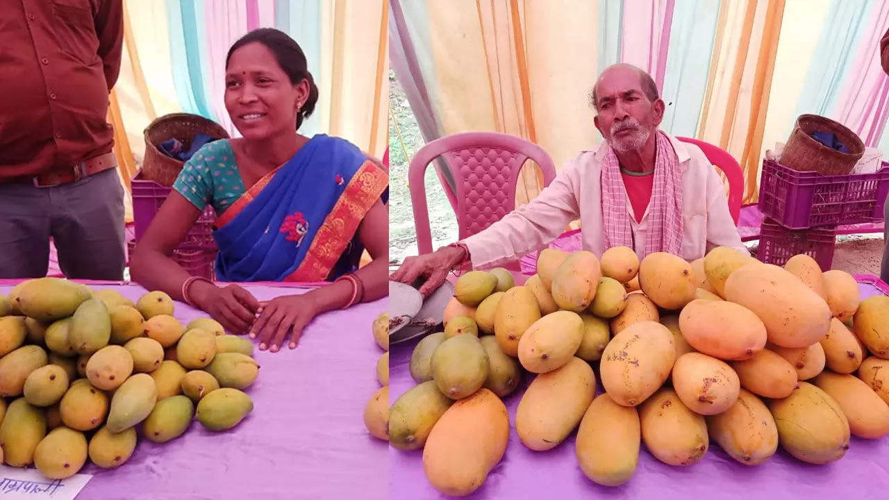 झारखंड: आम ने बना दिया खास, आम की खेती कर ये किसान हो गये मालामाल, सरकार करती है सहायता