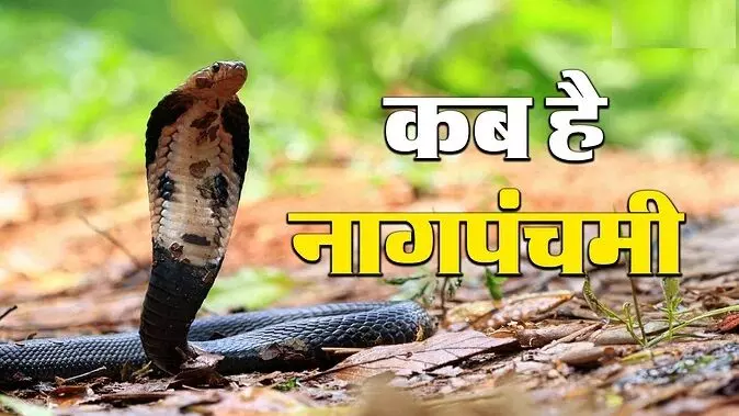 Nag Panchami 2024 : नाग पंचमी कब है, जानें महत्व, शुभ मुहूर्त और पूजा विधि