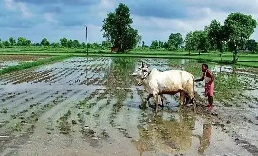 Budget 2024: किसानों के लिए हो सकते हैं बड़े ऐलान, क्या बजट के खुलने से 10 करोड़ अन्नदाताओं को मिलेगी राहत