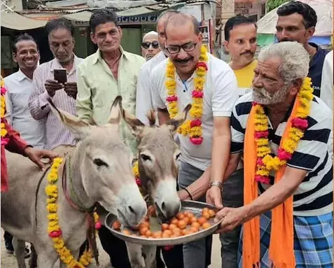 VIDEO- वाह गजब हो गया ! गदहे को पहनाया माला, फिर खिलाये थाली भर-भर गुलाब जामुन, जानिये क्यों ...