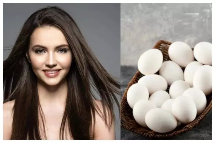 Hair Care Tips: पतले बालो में जान डाल देंगे अंडे के ये हेयर मास्क, जाने से बनाने और लगाने का सही तरीका