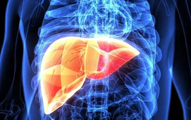 Healthy Liver Tips: आजमाएं ये घरेलू नुस्खे ...लीवर को अंदर से साफ और मजबूत बनाएंगी ये आसान चीजें