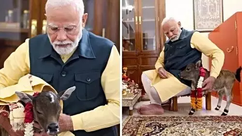 PM मोदी के घर आया नन्हा मेहमान : गौमाता ने नव-वत्सा को दिया जन्म, PM मोदी ने सोशल मीडिया में शेयर किया वीडियो