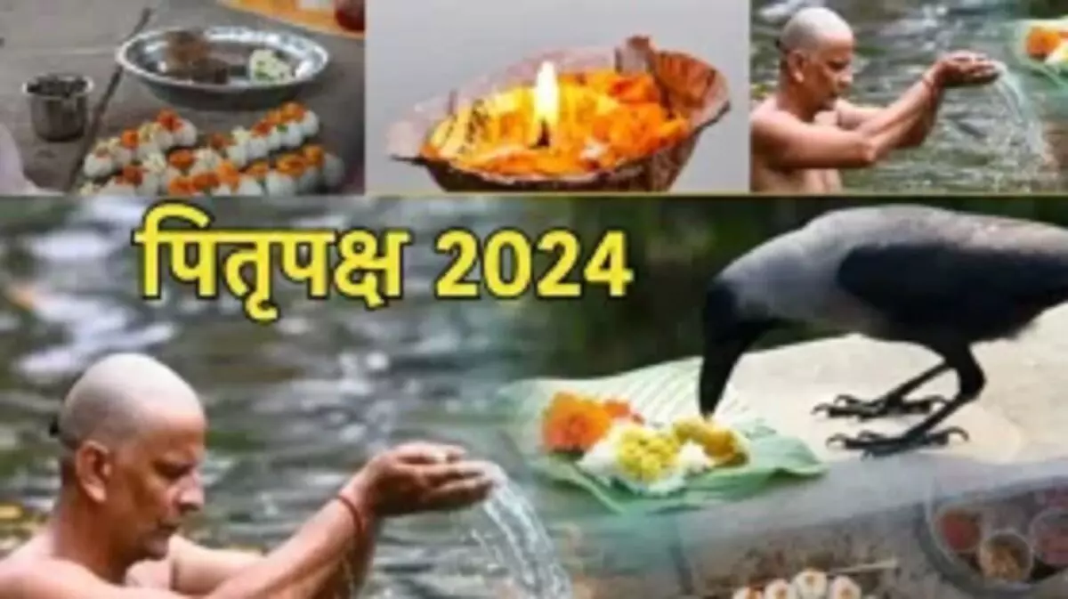 Pitru Paksha 2024: पितृपक्ष में खरीदारी करनी है? जानें इस साल पितृपक्ष में किस-किस दिन खरीदारी है शुभ