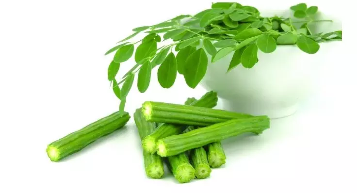 Moringa for Health: कैल्शियम से भरपूर है सहजन, डायबिटीज में राहत से लेकर जानिए और क्या हैं इसके हेल्थ बेनिफिट्स