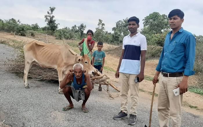 दो वनरक्षी सस्पेंड: बुजुर्ग को उठक बैठक कराने के मामले में एक्शन, दो निलंबित