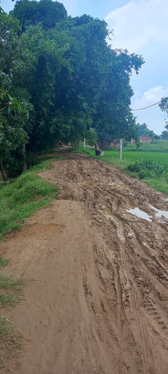 आजाद भारत कि ये तस्वीर! जहां कीचड़ में चलने को विवश हैं ग्रामीण, पढ़िए क्या कहते हैं जनप्रतिनिधि