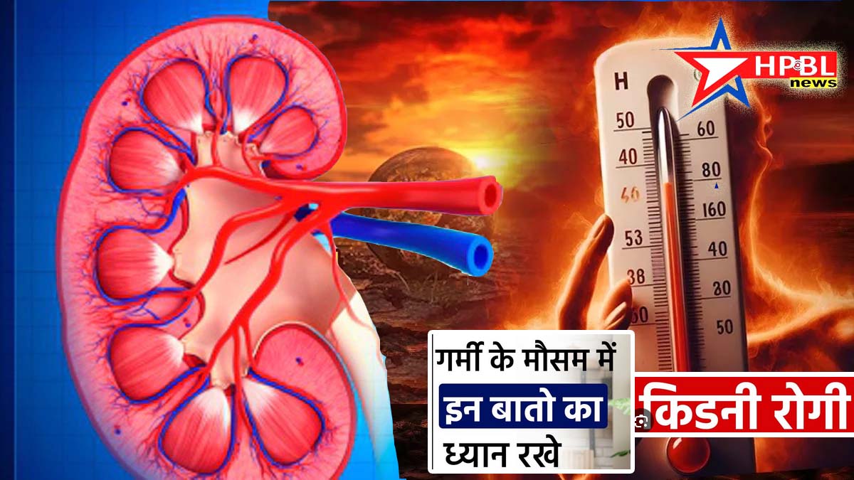 Health Tips: गरमी में हो सकता है किडनी फेल, यूरीन इंसफेक्शन का भी खतरा, गरमी तक ये काम जरूर करें, भूलकर भी ना करें ये गलतियां..