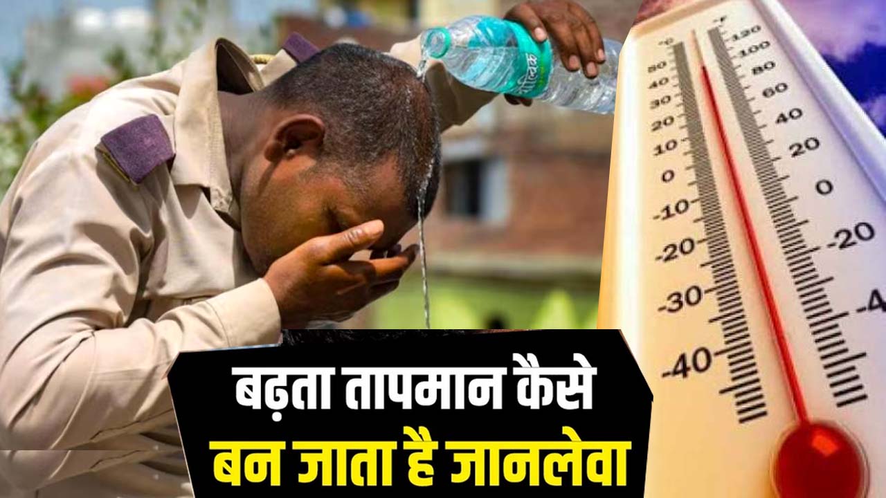 Health Tips : गर्मी में कब होती है इंसान की मौत? कौन सा अंग सबसे पहले होता है फेल? गरमी में बुखार जानलेवा है या नहीं? ऐसे पहचाने...