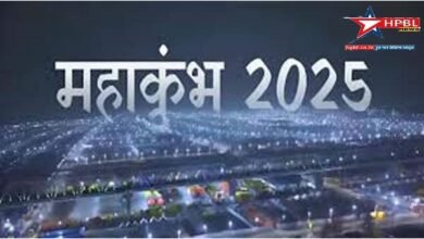 क्या आप जानते हैं महाकुंभ मेला में कितना चलना पड़ेगा पैदल? कहां मिलेगी पार्किंग? कहां ठहरे? https://www.hpbl.co.in में जाने सभी Details