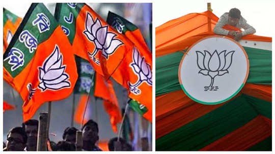 Chhattisgarh में BJP ने महापौर प्रत्याशियों की घोषणा की, जानें किसे कहां से मिला टिकट...