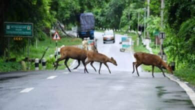 भारत के इस राज्य ने दुनिया में जमाई धाक, विश्व के 52 पर्यटन स्थलों में बनाई टॉप 5 में जगह