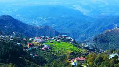 Dehradun Places: Best places to visit in Dehradun full of natural beauty