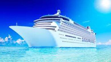 Cruise Services: