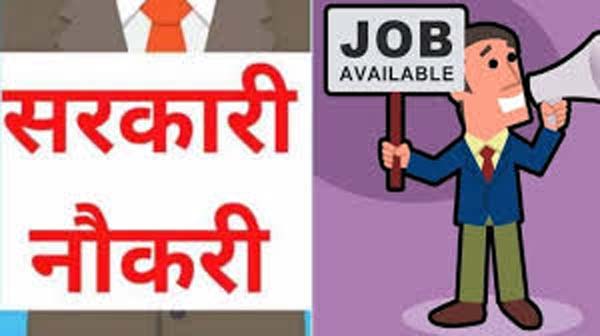GOVT JOB, recruitment for more than 50 thousand posts, golden opportunity for 10th pass youth, Online application, official website, rsmssb.rajasthan.gov.in, campaign state, recruitment for a total of 53 thousand 749 posts of Group D