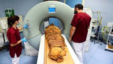 जब 1500 वर्ष पुरानी मूर्ति का हुआ 'CT Scan', तो रिपोर्ट देख कर डॉक्टर्स की आँखें भी फटी रह गई⌄