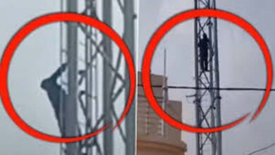 The young man climbed the mobile tower for his girlfriend and insisted like Veeru..said- I will not come down until I find my Basanti!