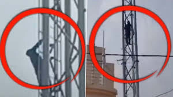 The young man climbed the mobile tower for his girlfriend and insisted like Veeru..said- I will not come down until I find my Basanti!