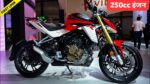 250cc इंजन के साथ मार्केट में लेंगी दस्तक Hero Xtreme 250R की स्पोर्ट बाइक