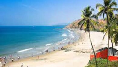 Goa Beaches: हनीमून पर पार्टनर संग गोवा के इन रोमांटिक बीचों की करें सैर