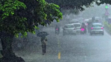 Heavy Rain Alert: 28 जुलाई से 3 अगस्त तक कई राज्यों में मूसलधार बारिश का कहर, IMD ने जारी किया रेड अलर्ट