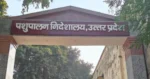 BIG NEWS: 600 करोड़ की ‘फीस’ का खेल या आरोपों का जाल? पशुपालन विभाग में घमासान, डायरेक्टर पर गंभीर आरोप से मचा हड़कंप