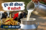 Milk Price Hike: दूध खरीदने वालों को बड़ा झटका! 11 अगस्त से बढ़ जाएंगे दाम, जानिए अब कितने में मिलेगा लीटर