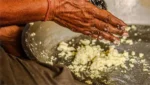 गंदगी के बीच तैयार हो रहा था नकली मावा-पनीर, 268 किलो वनस्पति तेल और 510 किलो SMP भी मिला; खाद्य विभाग की छापेमारी से मचा हड़कंप