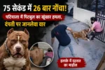 75 सेकंड में 26 बार हमला! पटियाला में पिटबुल का खौफ, दंपती को बचाने दौड़े पड़ोसी