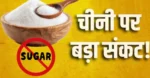 चीनी खरीदने से पहले जान लें नया नियम! थोक विक्रेताओं की स्टॉक लिमिट आधी, 15 सितंबर से बदल जाएगा पूरा हिसाब